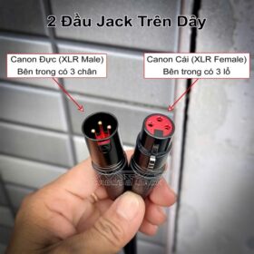Dây Canon đực cái 1 mét