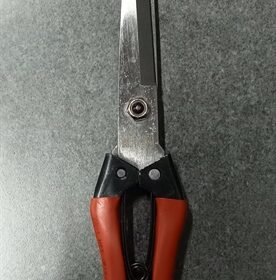 Kéo tỉa cây cảnh dài 30cm