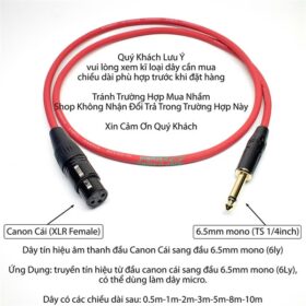 Dây chuyển giắc 6mm ra Canon cái 0.5 mét