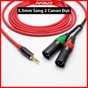 Dây audio 3.5mm ra 2 đầu canon đực 1 mét