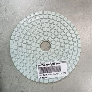 66e50275267d44dbb5a920106d98a2e4 12